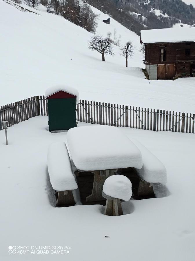 Casa Steilalva - Grosszuegiges Chalet Fuer Erholsamen Familienurlaub Surrein エクステリア 写真