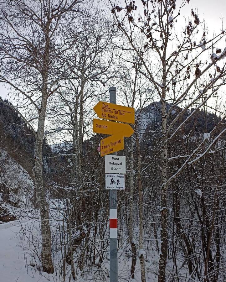 Casa Steilalva - Grosszuegiges Chalet Fuer Erholsamen Familienurlaub Surrein エクステリア 写真