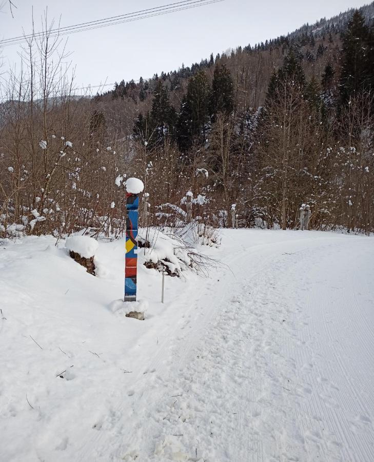Casa Steilalva - Grosszuegiges Chalet Fuer Erholsamen Familienurlaub Surrein エクステリア 写真