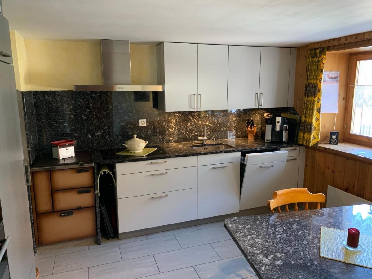 Casa Steilalva - Grosszuegiges Chalet Fuer Erholsamen Familienurlaub Surrein エクステリア 写真