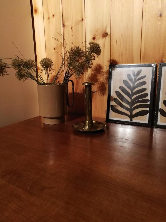 Casa Steilalva - Grosszuegiges Chalet Fuer Erholsamen Familienurlaub Surrein エクステリア 写真